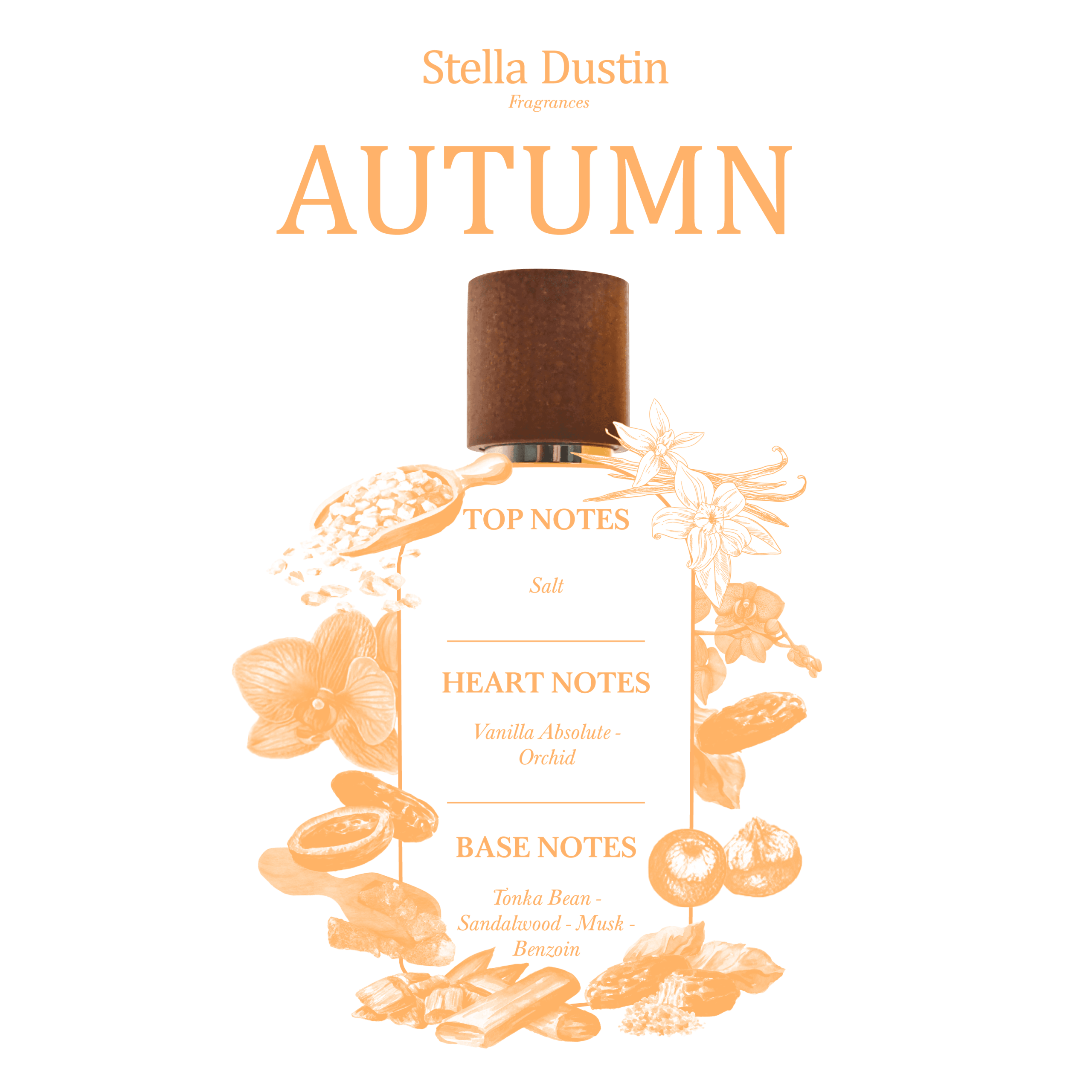 STELLA DUSTIN - AUTUMN - Image 2