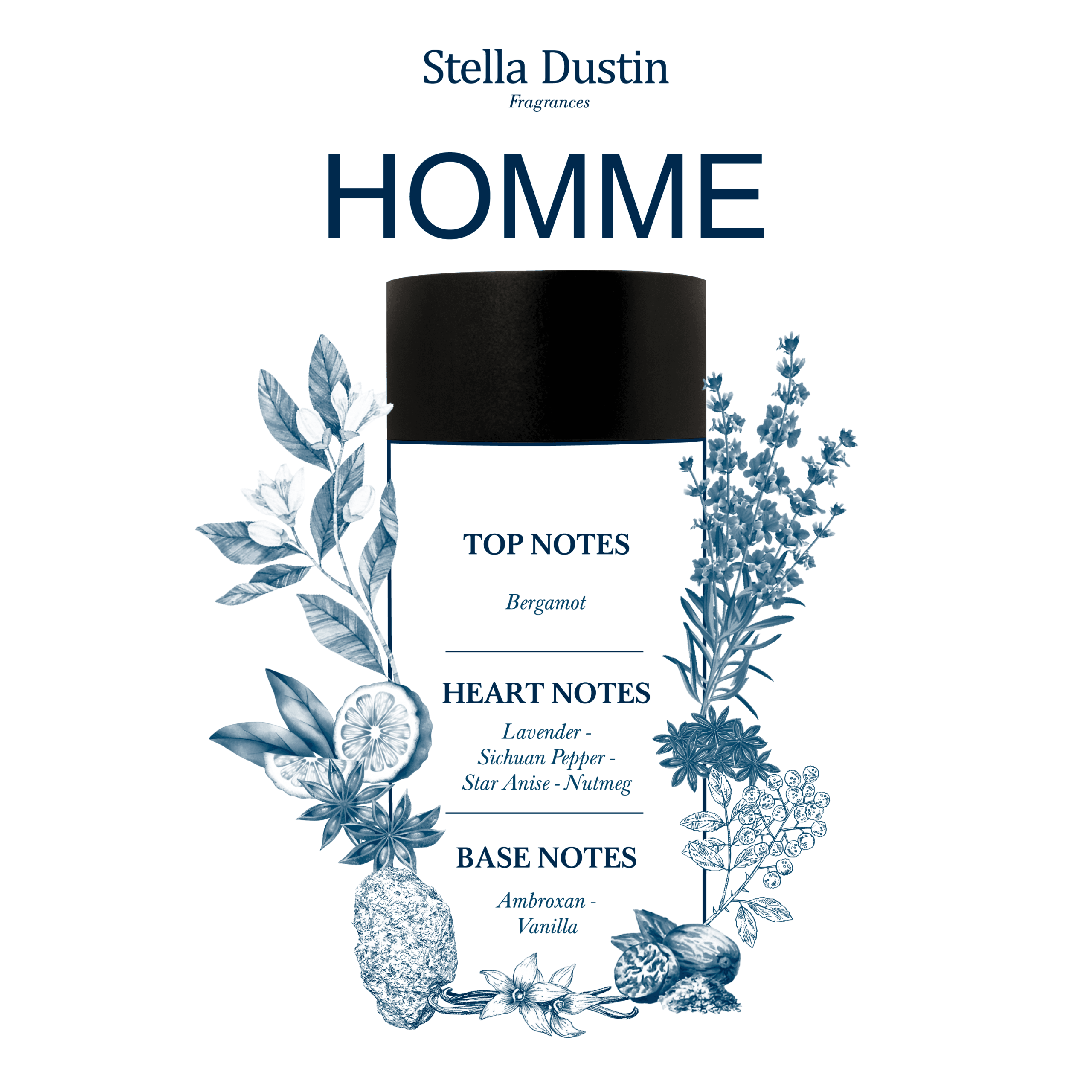 STELLA DUSTIN - HOMME - Image 3