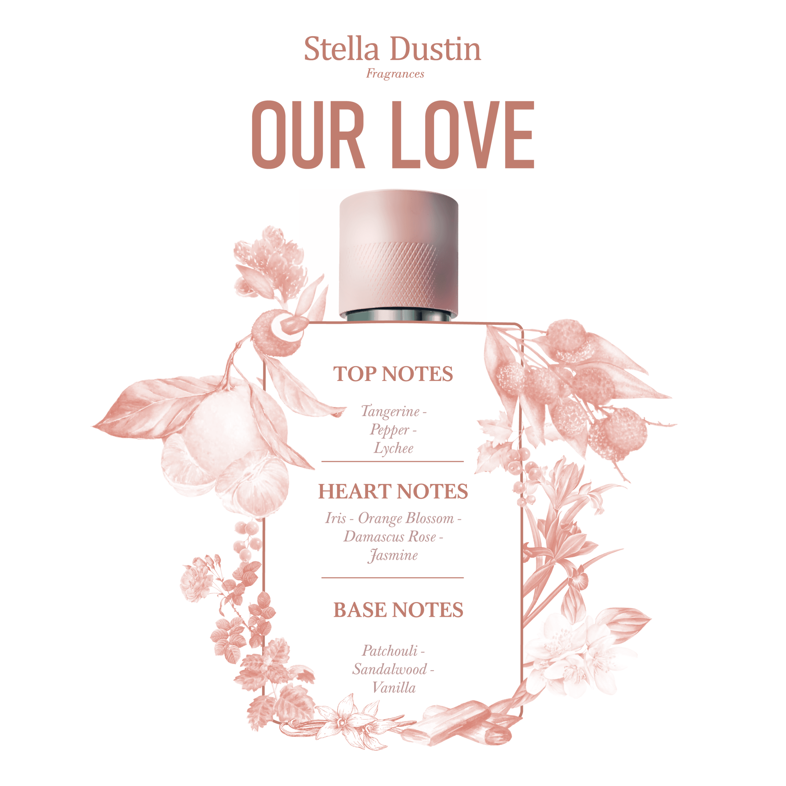 STELLA DUSTIN - OUR LOVE - Image 3