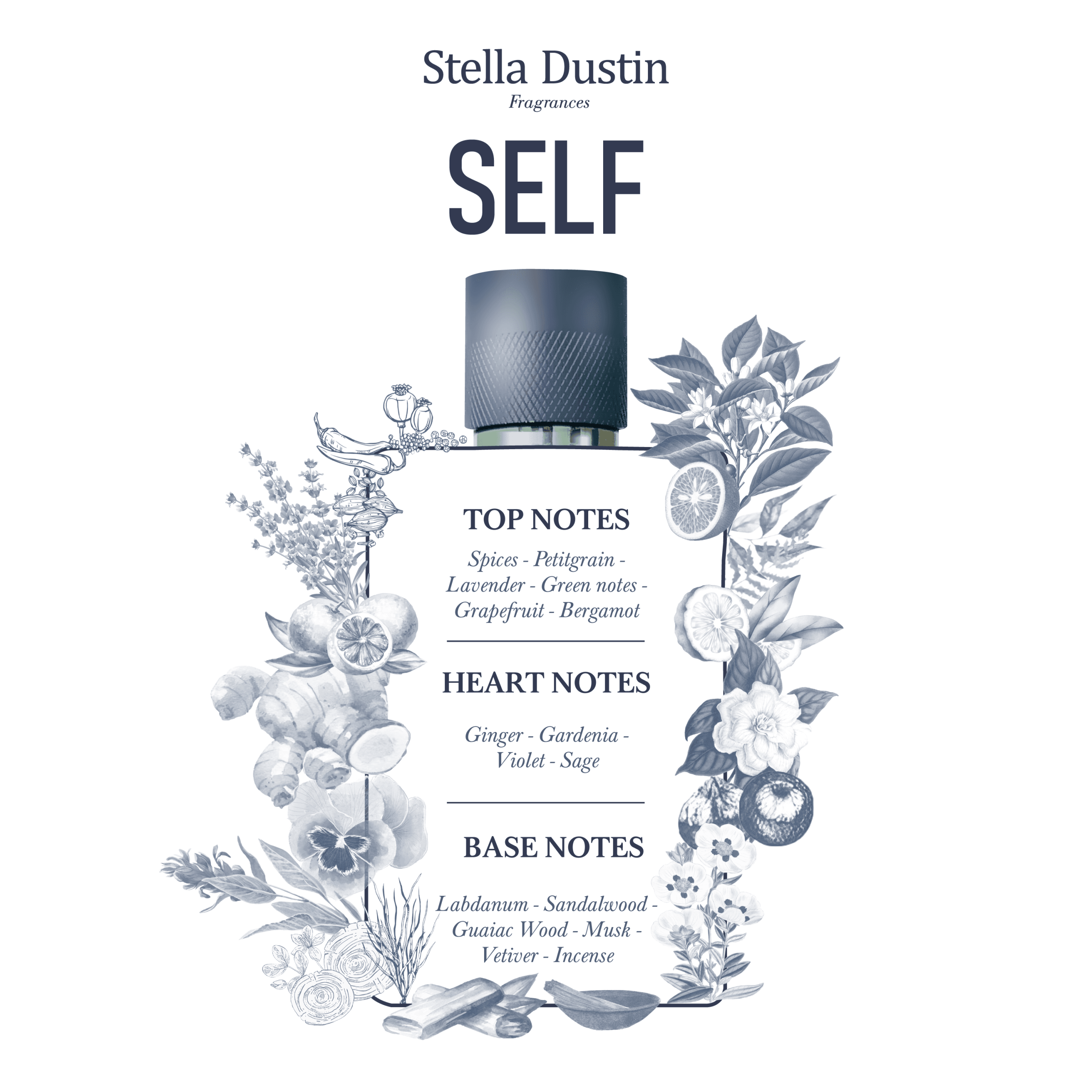 STELLA DUSTIN - SELF - Image 2