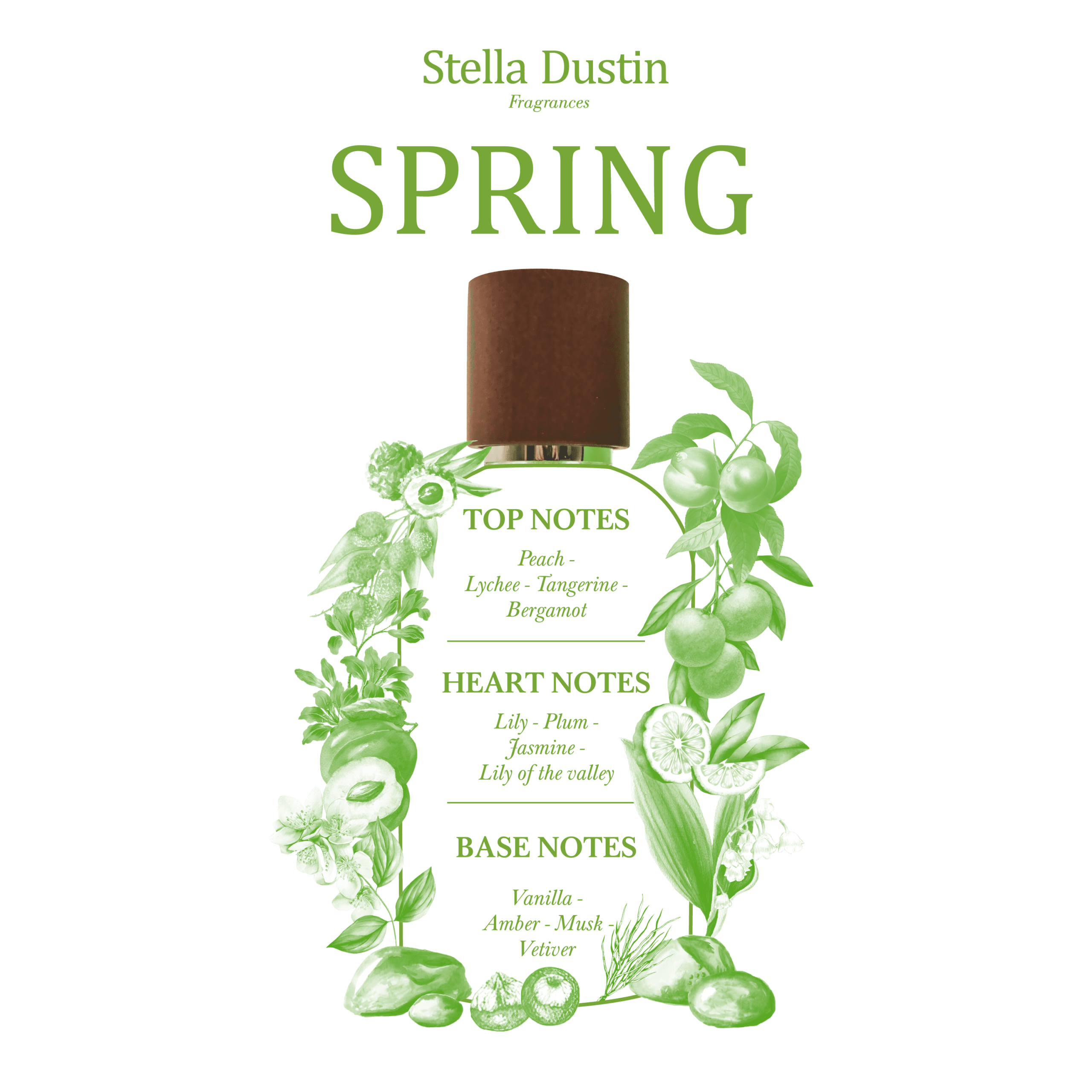 STELLA DUSTIN - SPRING - Image 3